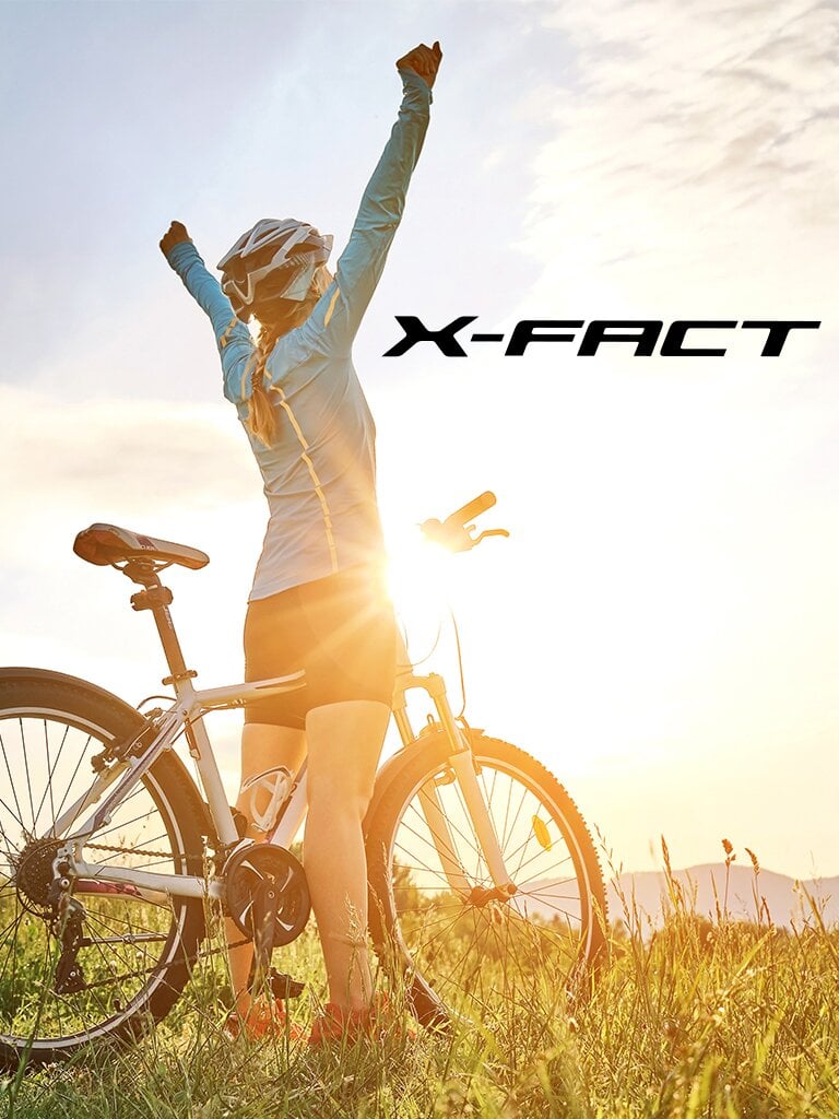 1920X649-xfact másolat.jpg